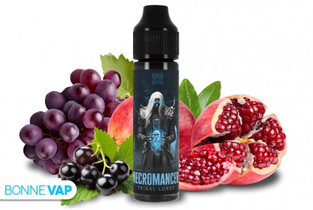 Necromancer 50ml - Tribal Lords