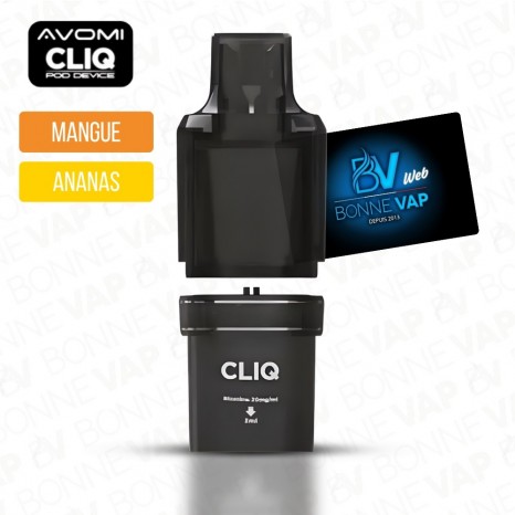 Cartouche Mangue Ananas -...
