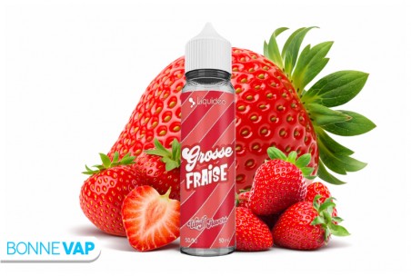 Grosse Fraise 50ml - Wpuff Flavors