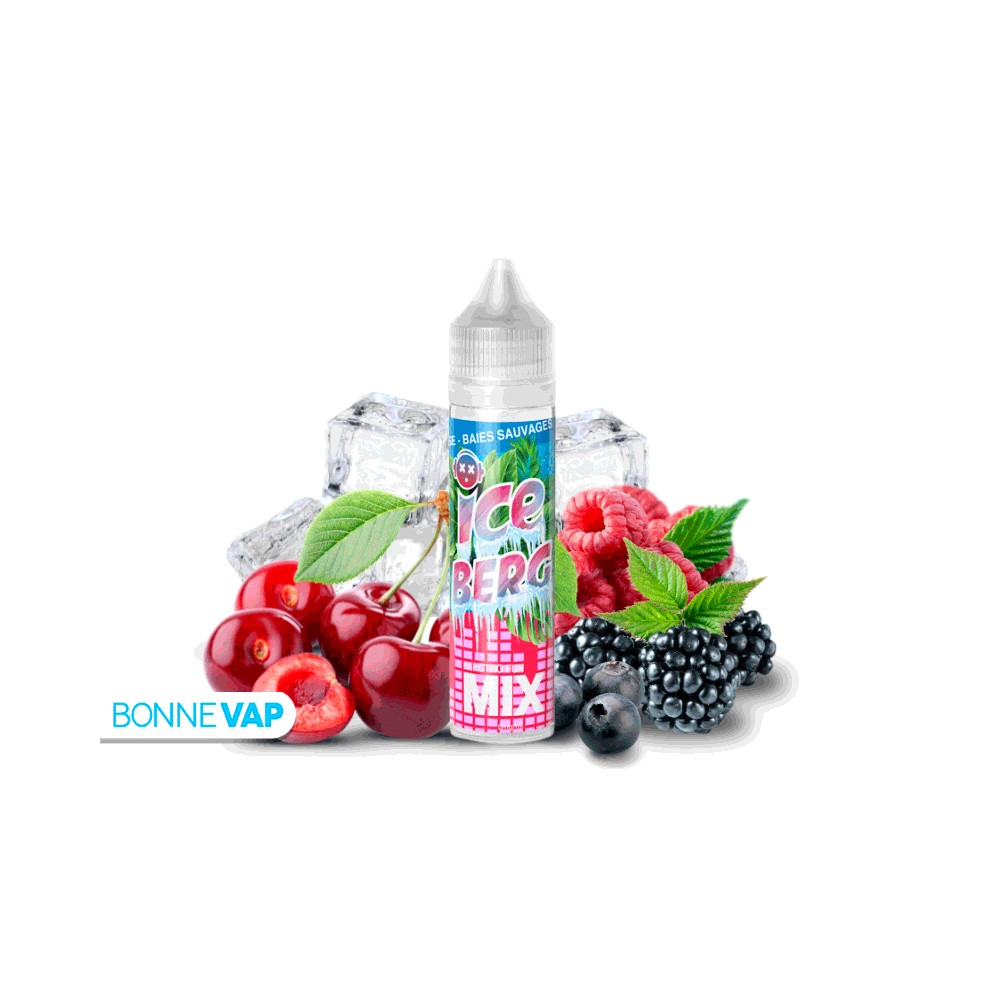 E liquide Electro Fun Ice Berg Mix 50ml