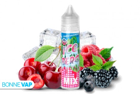 E liquide Electro Fun Ice Berg Mix 50ml