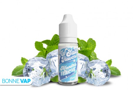 MENTHE FRAICHE LIQUIDEO 10ML | WSALT