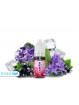 Black Down 10ml - Freezy Crush