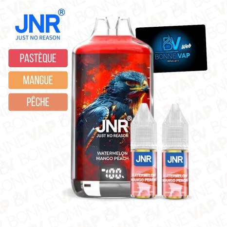 Puff Watermelon Mango Peach - Falcon X JNR