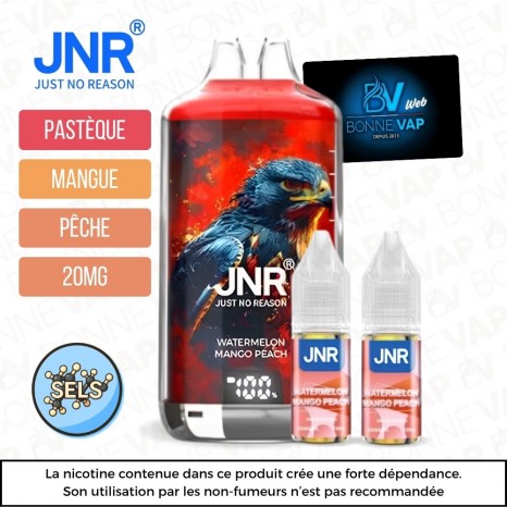Puff Watermelon Mango Peach - Falcon X JNR - 20mg