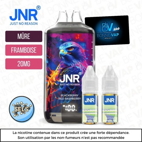 Puff Blackberry Red Raspberry - Falcon X JNR - 20mg