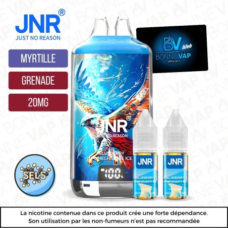 Puff Blueberry Pomegranate Ice - Falcon X JNR