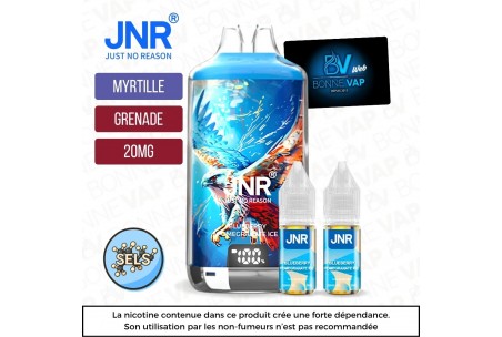 Puff Blueberry Pomegranate Ice - Falcon X JNR - 20mg