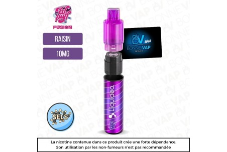 Starter Puff Raisin Glacée - Wpuff Fusion - 10mg