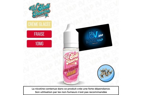 Ice Cream 10ml Sels - Wsalt Flavors Liquideo - 10mg