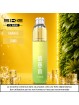 Starter Puff Ananas Glacé - SKE CL 15000 - 10mg