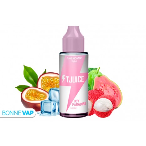 Icy Paradise 100ml - Tjuice