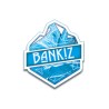 Bankiz