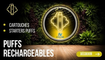 Puffs Rechargeables